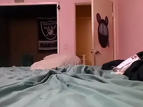 Blkstylion webcam