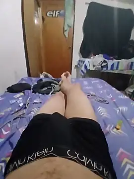 Transdecloset webcam