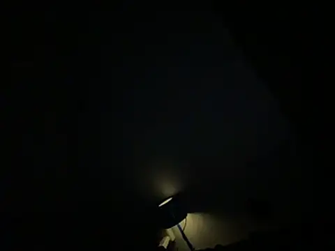Ryanandtasha7877