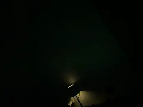 Ryanandtasha7877 webcam