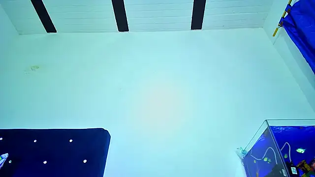 Aliice_Doll webcam