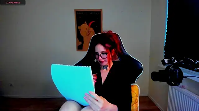your_tora webcam