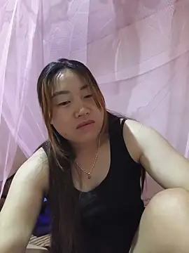 he-se-kin webcam