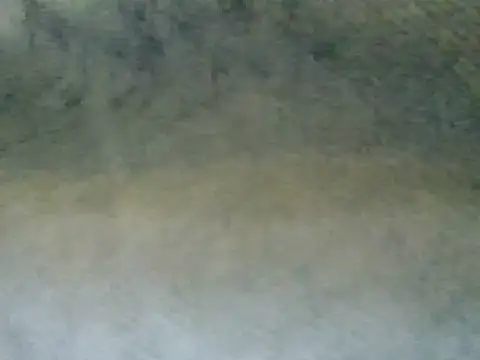 Godessbree webcam