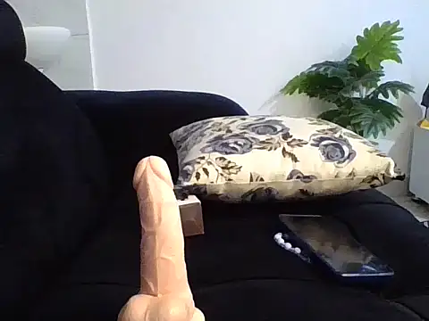 Amara254 webcam