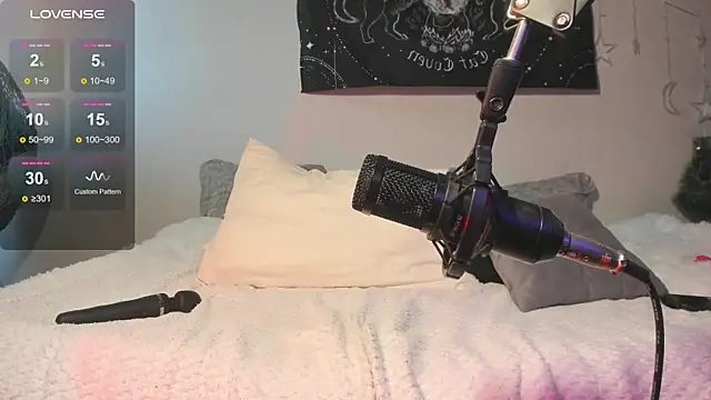 JuliaVangg_19 webcam