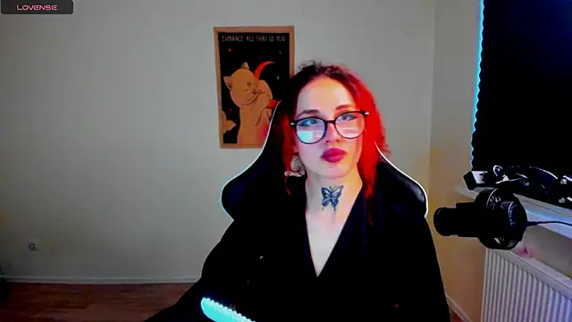 your_tora webcam