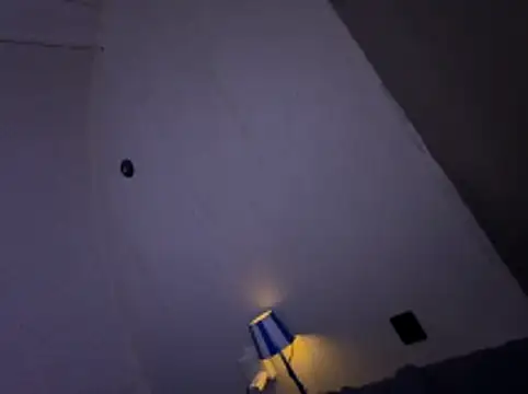 Ryanandtasha7877 webcam
