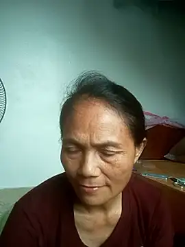 Vieekee webcam