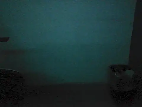 Kalel17073 webcam