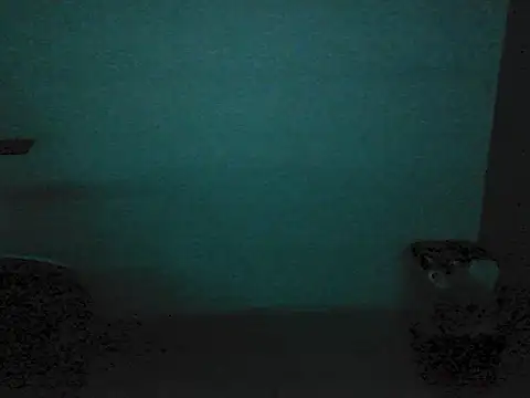 Kalel17073 webcam