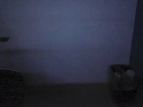 Kalel17073 webcam
