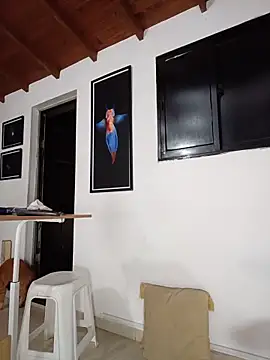 SilvaBranko webcam