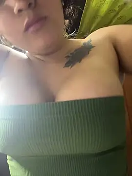 LuzDream webcam