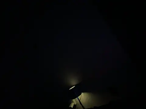 Ryanandtasha7877 webcam