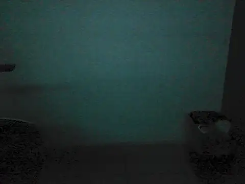 Kalel17073 webcam