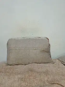 Bulletact webcam