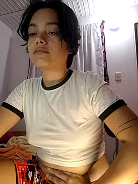 Meeliivee webcam