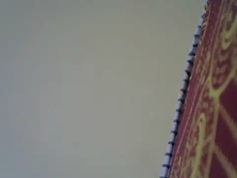 Bigras0011 webcam