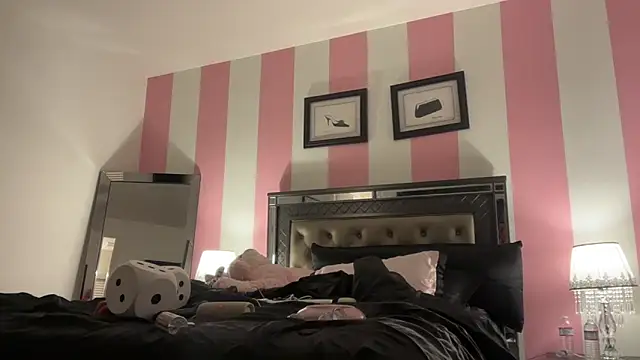 vannarosetv webcam