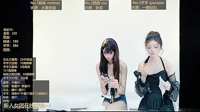 XZ-520 webcam