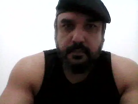 stallony webcam