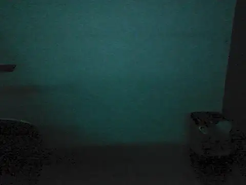 Kalel17073 webcam
