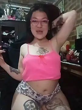 _Alaskamisa webcam