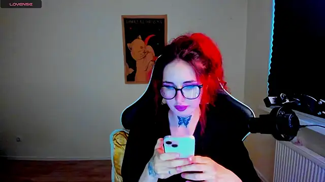 your_tora webcam