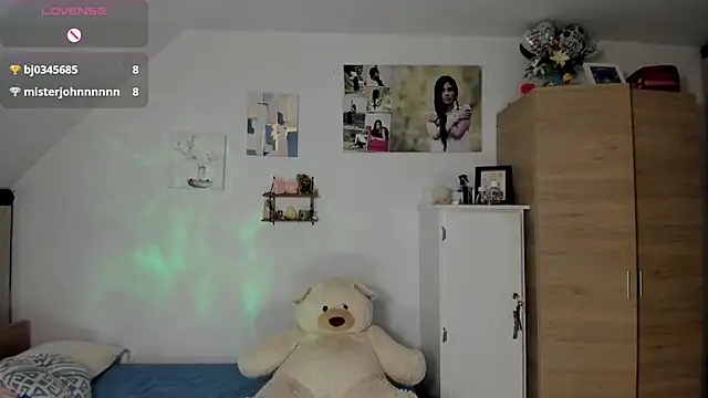 Veronikolsen- webcam