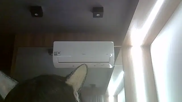 SkinnyKitten webcam