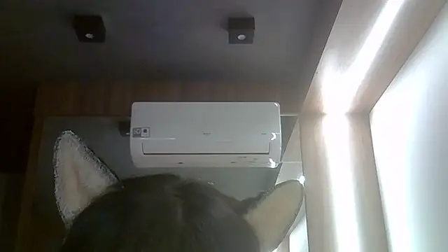 SkinnyKitten webcam