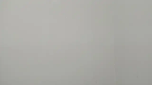 Real_Slim_Thick webcam