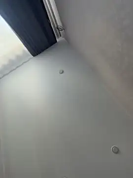 Wildyx webcam