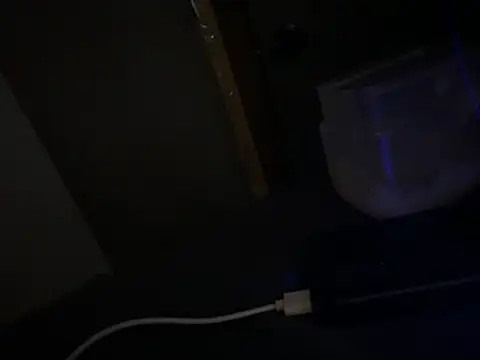 Ryanandtasha7877 webcam