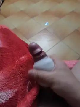 paurosinha2 webcam