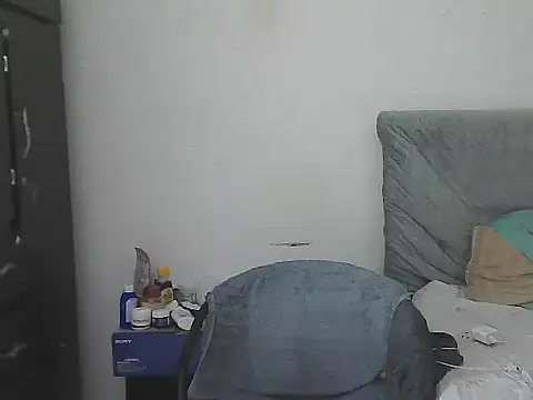 IronSideBear webcam