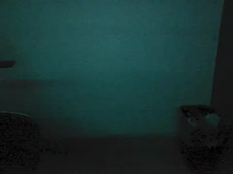 Kalel17073 webcam