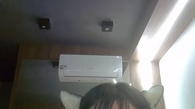SkinnyKitten webcam
