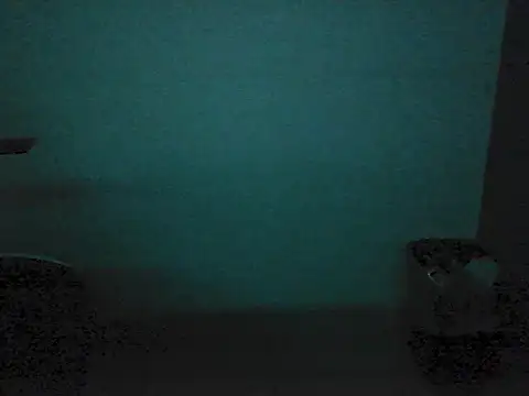 Kalel17073 webcam