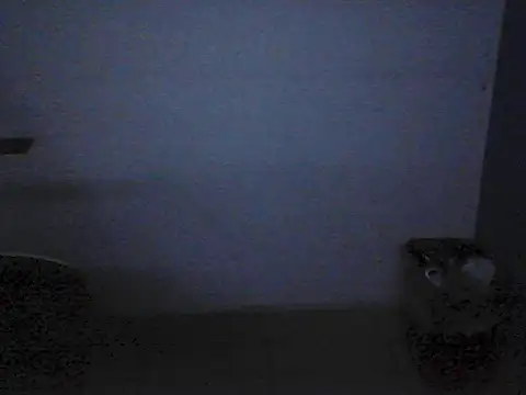 Kalel17073 webcam