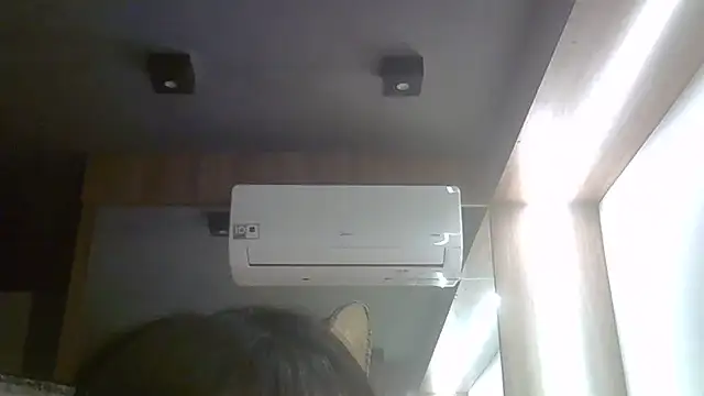 SkinnyKitten webcam