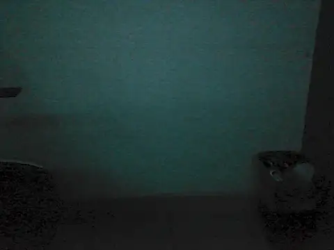 Kalel17073 webcam