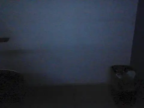 Kalel17073 webcam