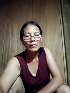 toyo_668 webcam