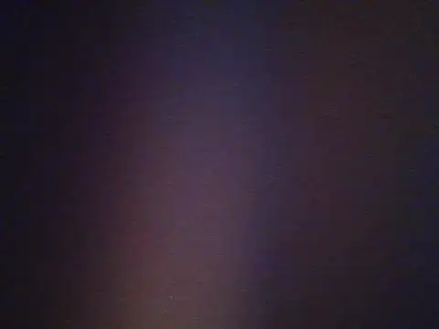 salimzw webcam