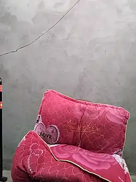 Biva11 webcam