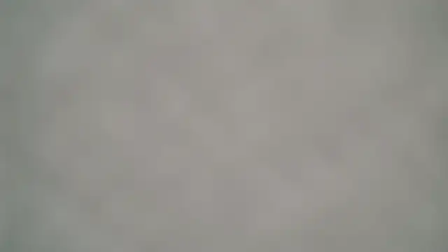 Grass_99 webcam