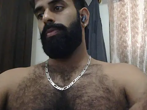 indianhairybull