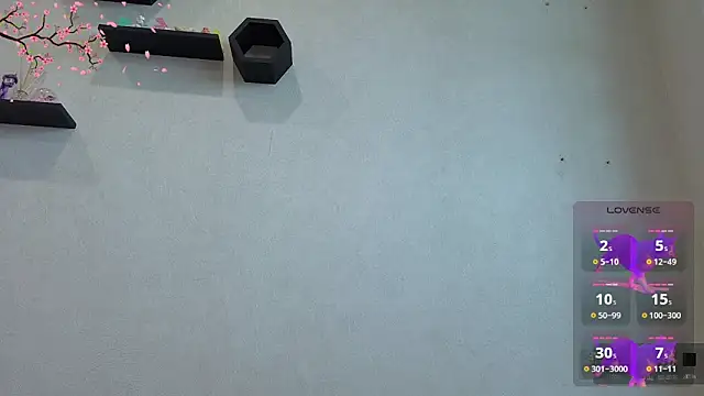 LittleKittenStar webcam